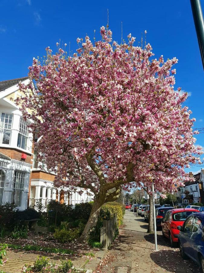 Kew Gardens - Private Double Room Richmond London - Homestay Eksteriør billede